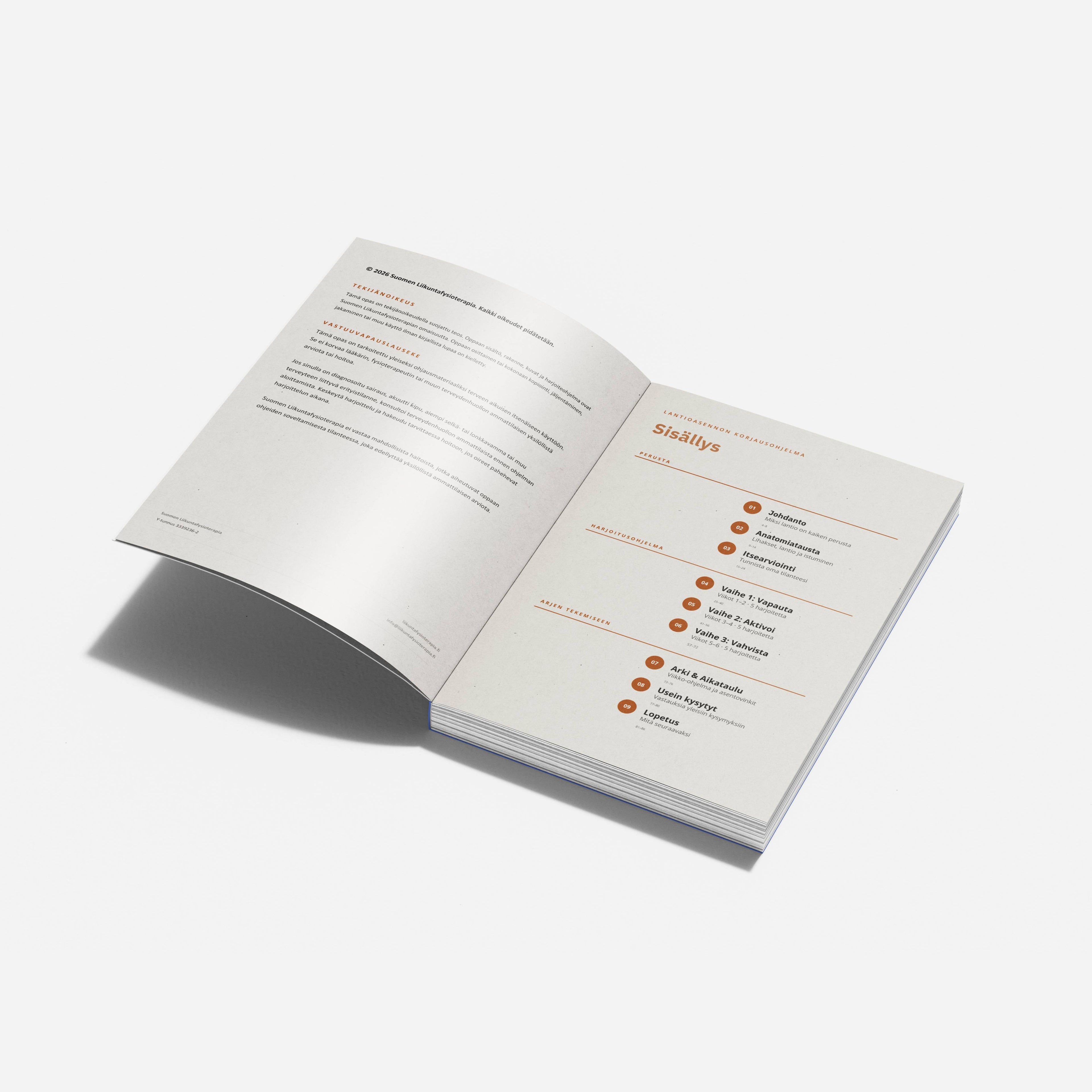 Eteenpäin kallistuneen lantion 6 viikon harjoitusohjelma